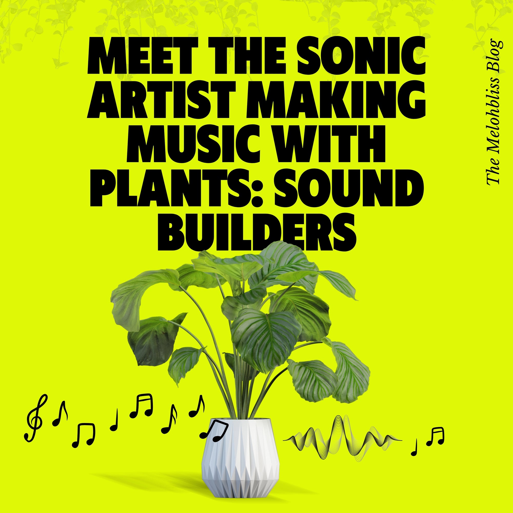 Meet the Sonic Artist Making Music with Plants: Sound Builders